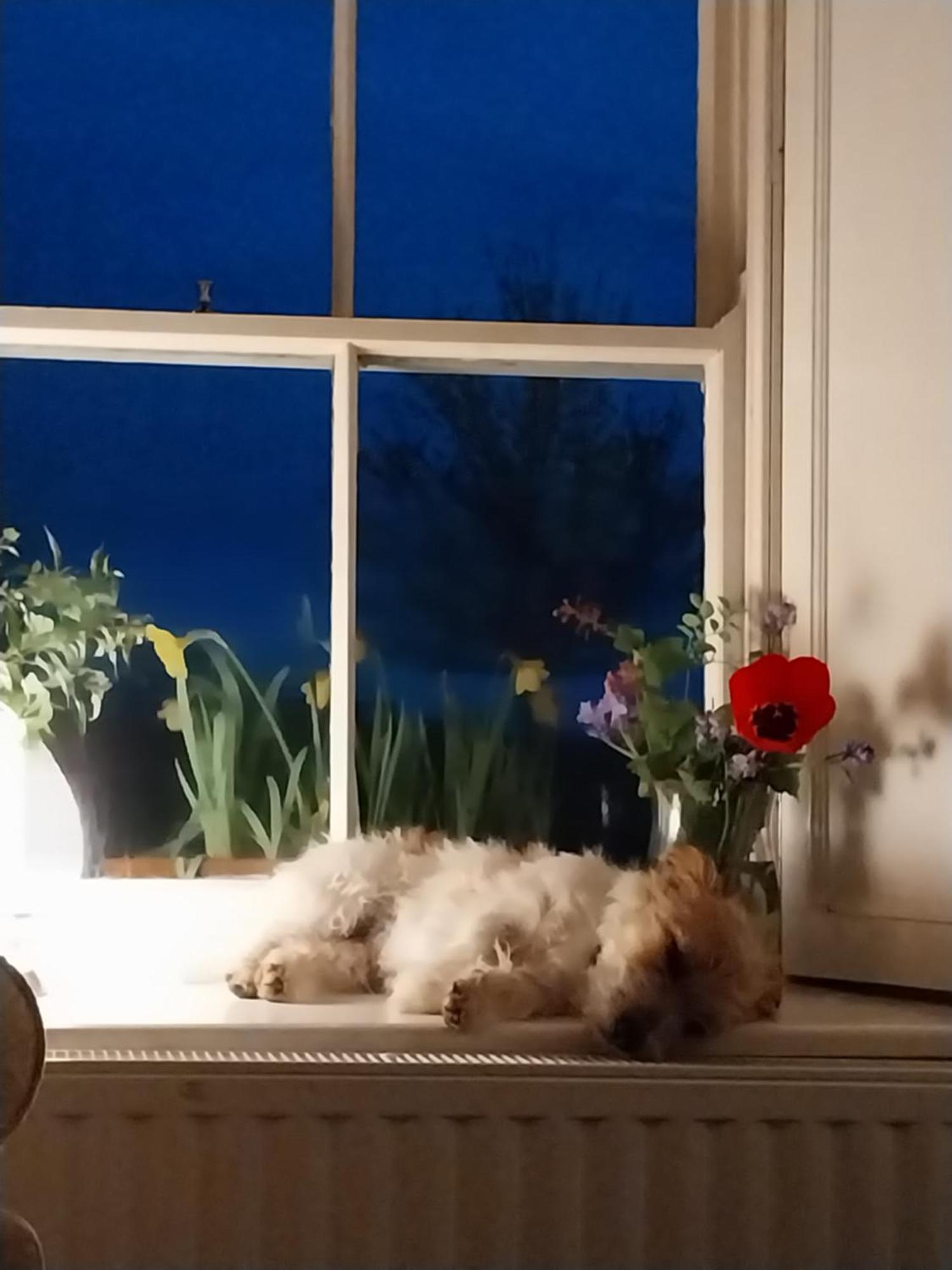 Felicity Cottage Kiltegan Εξωτερικό φωτογραφία